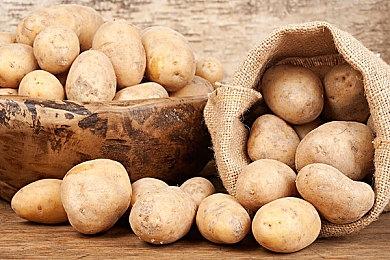 《植物大战僵尸：重植版》新预告 双人合作＆PVP玩法展示